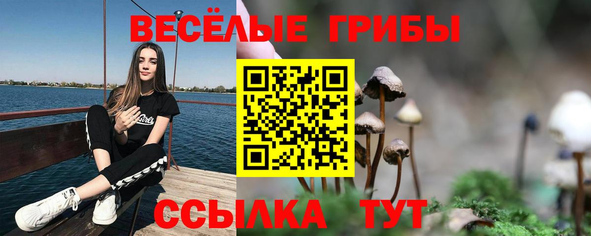Галлюциногенные грибы ЛСД  Вход с VPN  Сосновоборск 